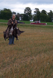 Wheat fields usually produce the most consistent early season action.