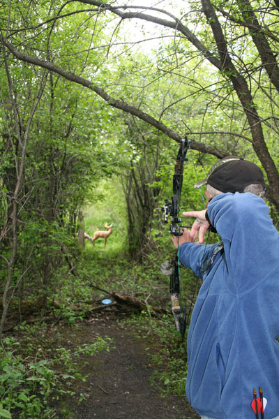 Dan flood shooting bow and arrow
