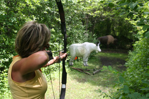 Wisconsin archery practice