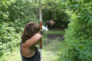 Wisconsin archery practice