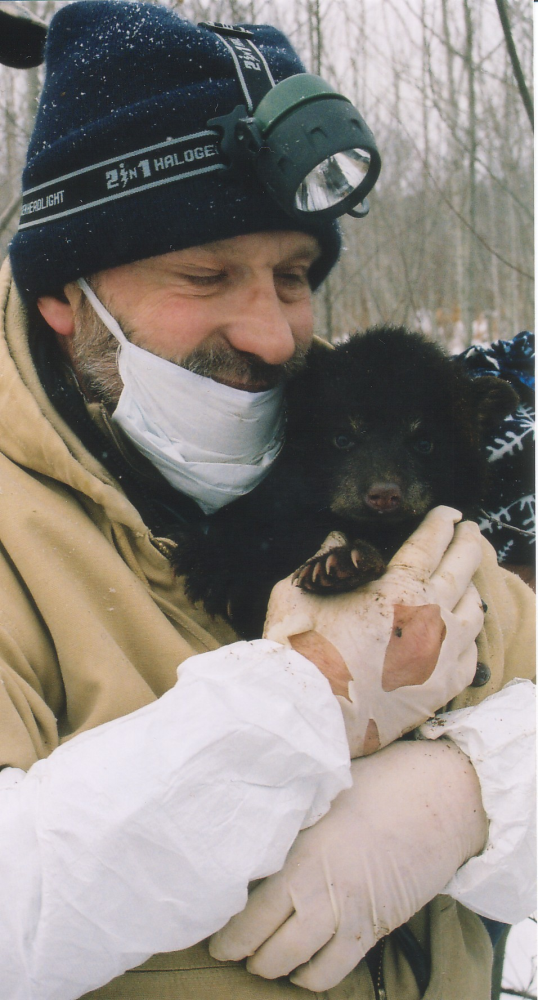 Bear Hunting Wisconsin