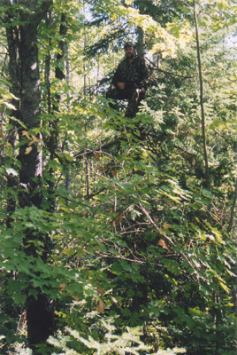 Bear Hunting Wisconsin