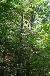 Bear Hunting Wisconsin