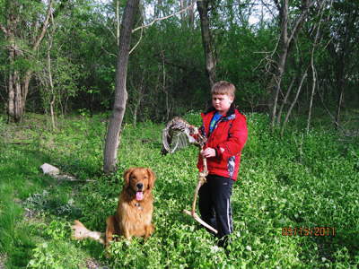 wisconsin deer scouting