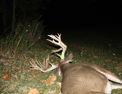 27 Point Buck Waupaca County