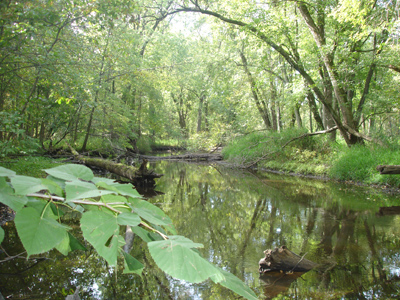 Milwaukee River