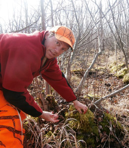 Cleaning after feild dressing a deer.