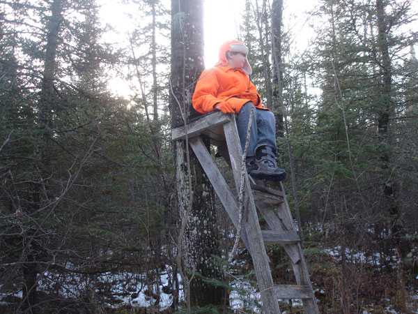 boy sitting in tree stand