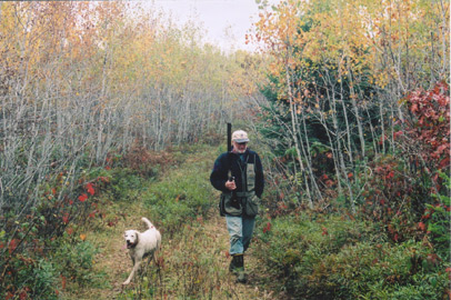 Woodcock Hunting Vilas County