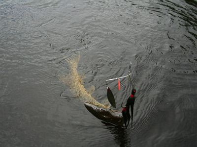 northern fishing peshtigo river