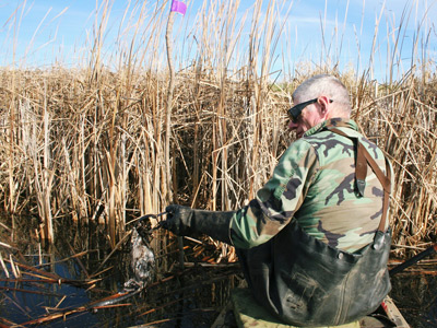 Horicon Marsh Trapping