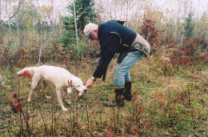 Woodcock Hunting Vilas County