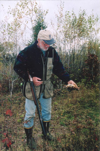 Woodcock hunting Wisconsin