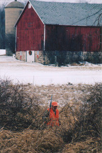 Rabbit Hunting Wisconsin