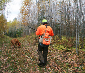 Hunting Grouse