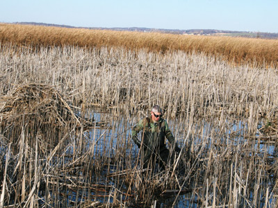 Wisconsin trapping