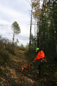 grouse hunting wisconsin