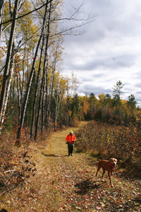 Hunting for Grouse