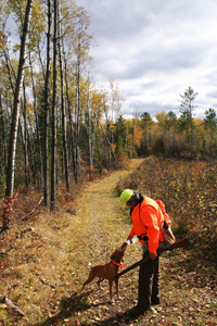 grouse hunting wisconsin