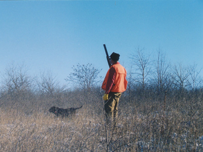 Green County Pheasant hunting