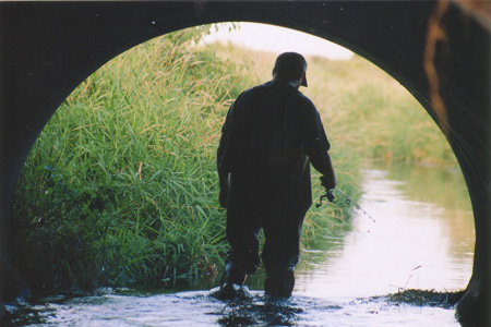 brook trout fishing portage county