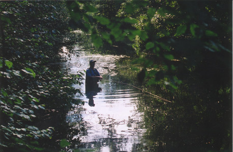 brook trout fishing portage county