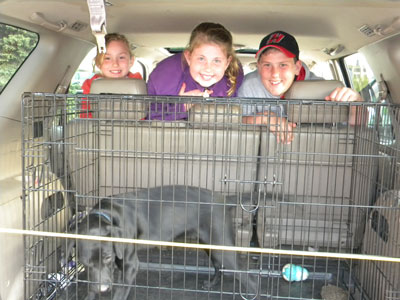 kids in truck with dog in crate