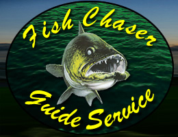fish chaser logo
