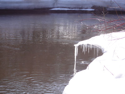 Bois Brule River ice shelves