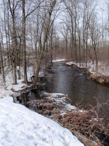 trout stream