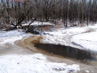 trout stream wisconsin