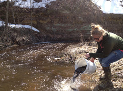 Wisconsin trout stocking 