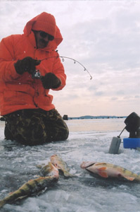 Ice Fishing Madison