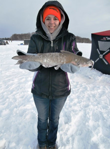 wisconsin catfish