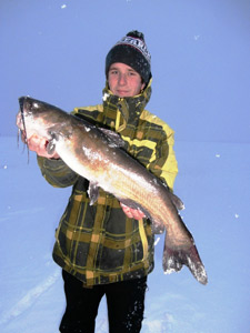 Wisconsin Catfish
