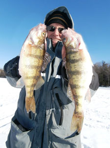 jumbo perch