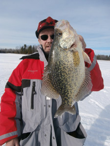 Nice crappie icefishing