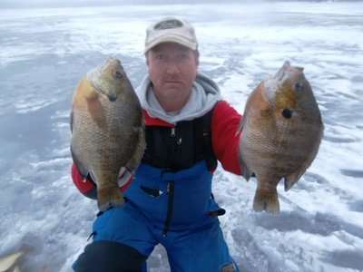 Icefishing bluegills