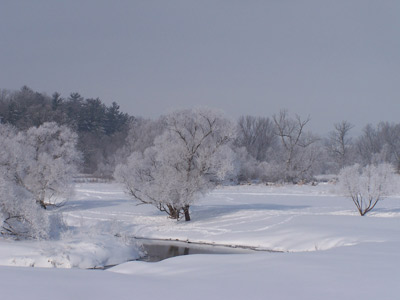 ice scene