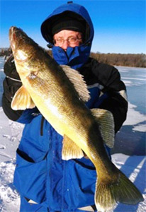 Nice Walleye