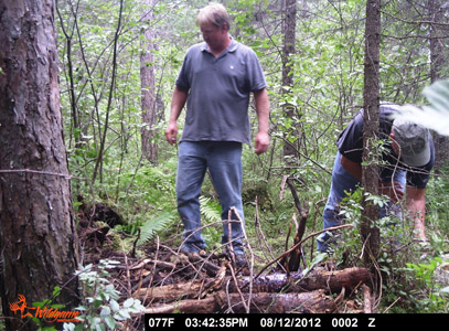 Wisconsin bear baiting