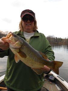 nice largemouth bass