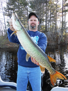 nice spring musky