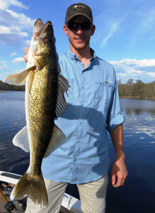 nice walleye