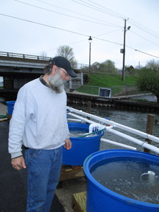 fry holding tanks