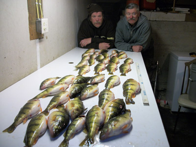 perch catch