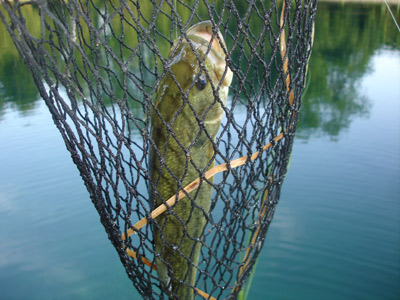 A long-awaited stone quarry bass is netted