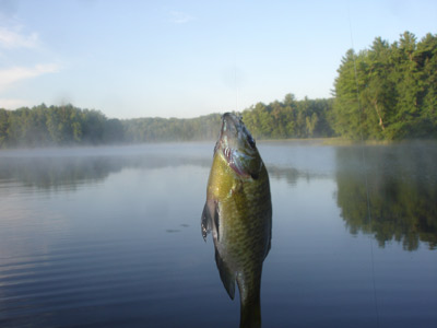 The monster fish of Bear Paw Lake.