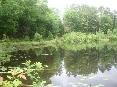 summer camp Oneida County