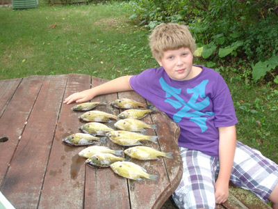 bluegill fishing Long Lake, WI